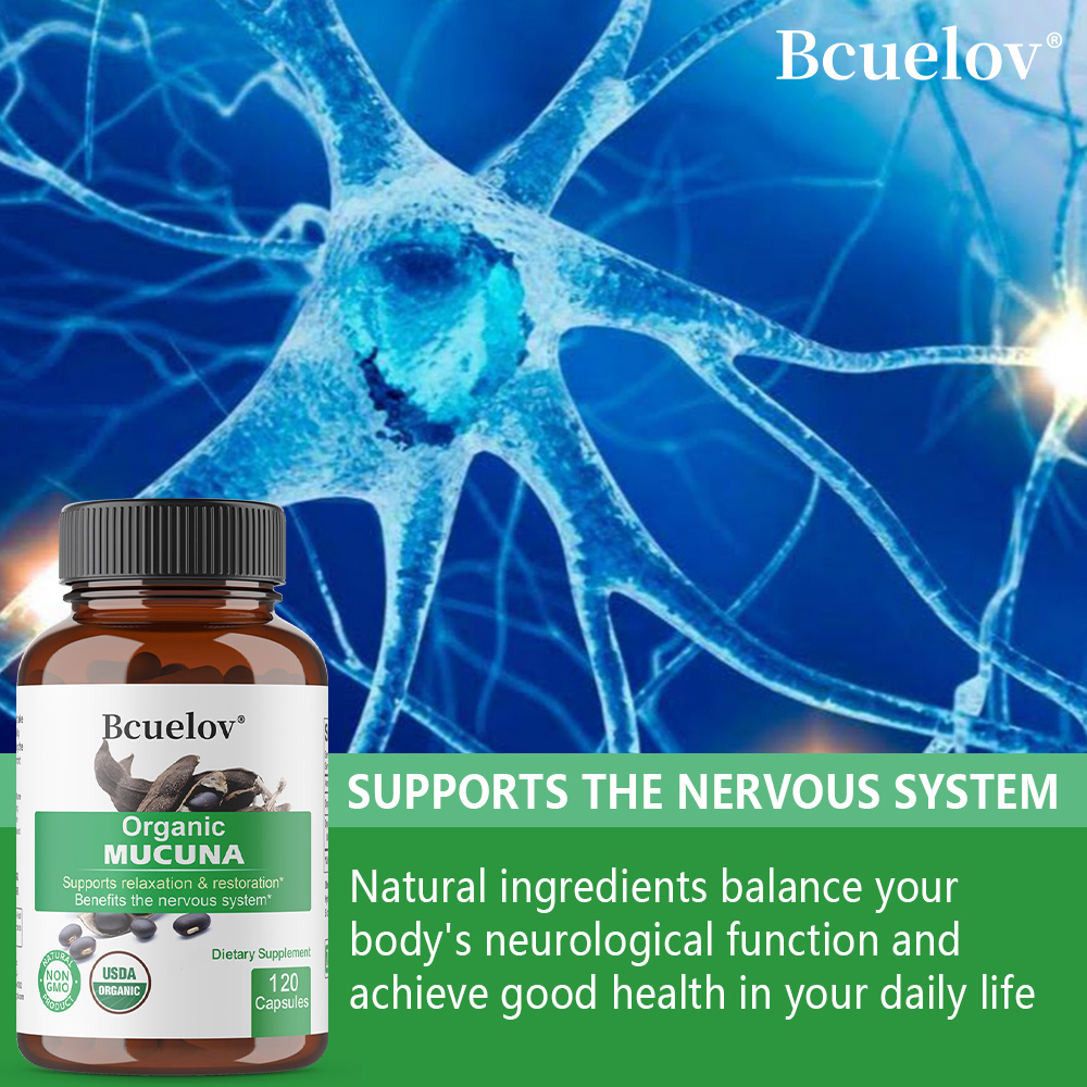 Cápsulas de Mucuna Orgânicas - - Herbal Wellness Water avaliação e preço